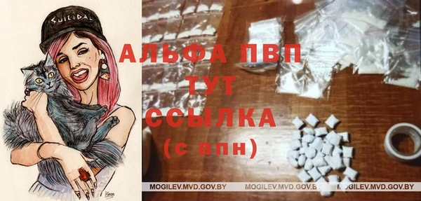 СК Белокуриха